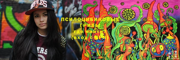 первитин Белокуриха