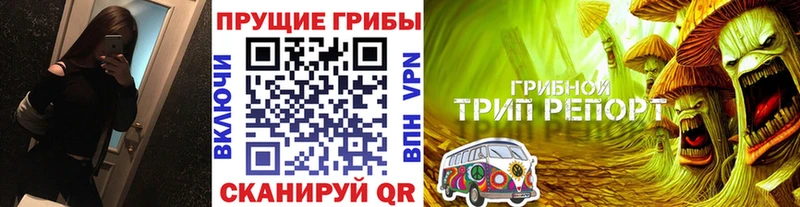 что такое Бикин Псилоцибиновые грибы MAGIC MUSHROOMS
